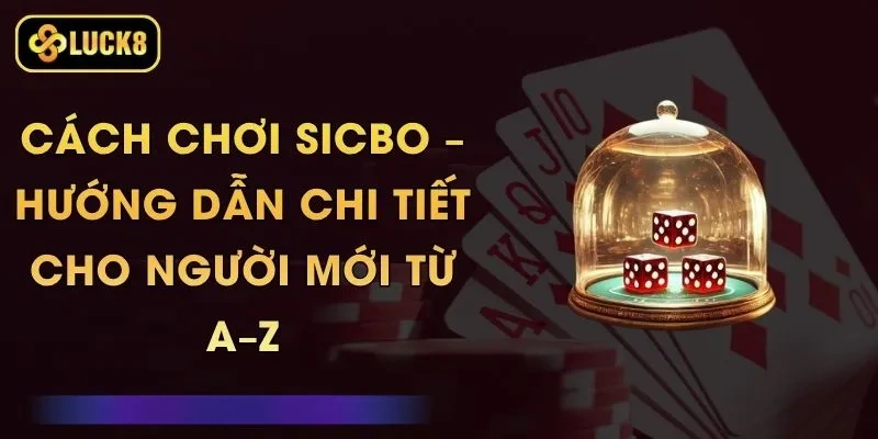 Cách Chơi Sicbo – Hướng Dẫn Chi Tiết Cho Người Mới Từ A–Z