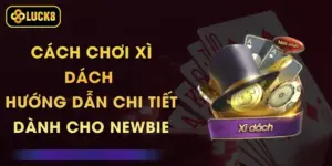 Cách Chơi Xì Dách - Hướng Dẫn Chi Tiết Dành Cho Newbie