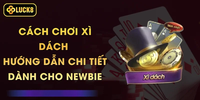 Cách Chơi Xì Dách - Hướng Dẫn Chi Tiết Dành Cho Newbie