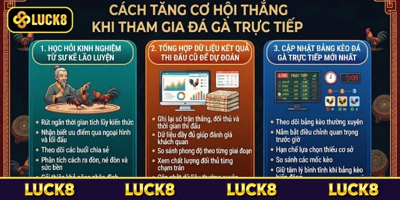 Cách tăng cơ hội thắng khi tham gia đá gà trực tiếp