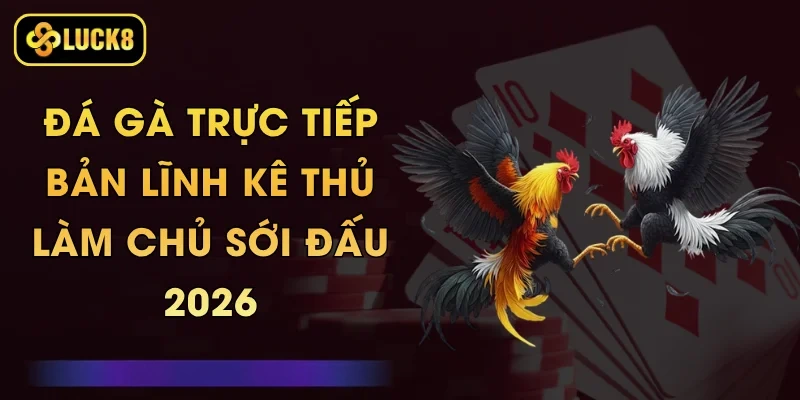 Đá Gà Trực Tiếp - Bản Lĩnh Kê Thủ, Làm Chủ Sới Đấu 2026