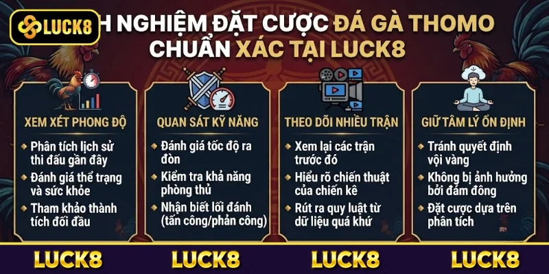 Đá Gà Thomo Luck8 - Nơi Hội Tụ Những Trận Đấu Đỉnh Cao 4 Kinh nghiệm đặt cược đá gà Thomo chuẩn xác tại Luck8