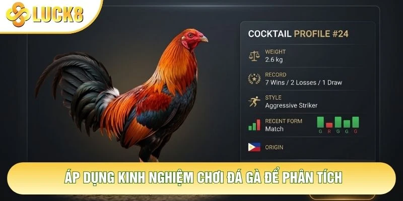 Áp dụng kinh nghiệm chơi đá gà để phân tích