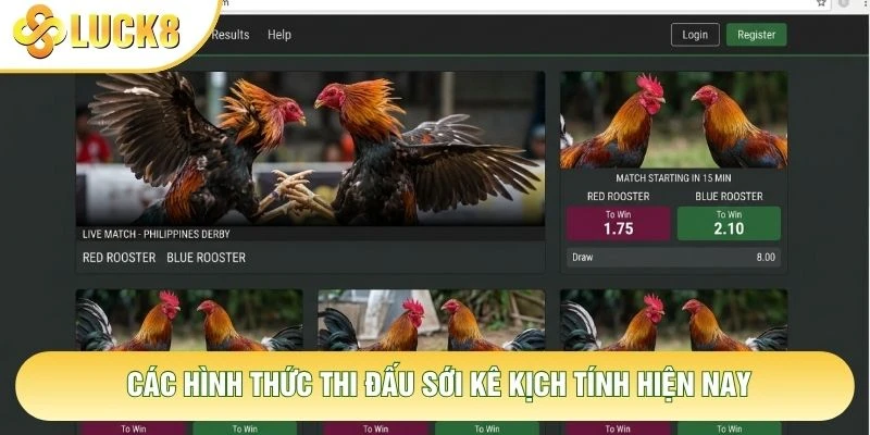 Các hình thức thi đấu sới kê kịch tính hiện nay
