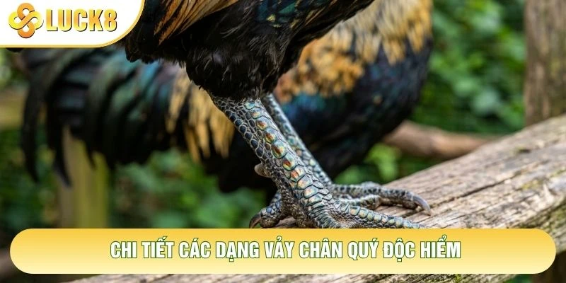 Chi tiết các dạng vảy chân quý độc hiểm