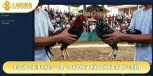 Đá Gà Philippines - Top 3 Phương Pháp Đánh Giá Kê Chiến