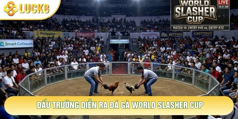 Đấu trường diễn ra đá gà World Slasher Cup