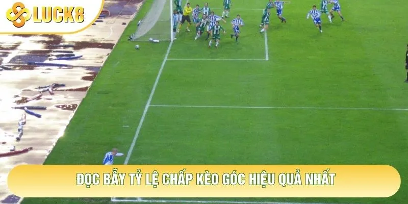 Đọc bẫy tỷ lệ chấp kèo góc hiệu quả nhất