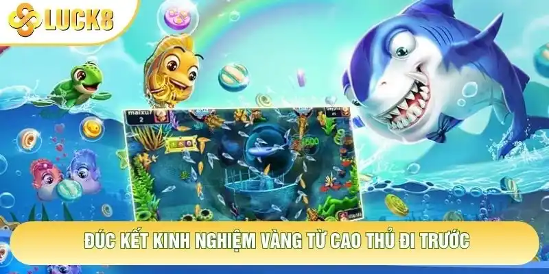 Đúc kết kinh nghiệm vàng từ cao thủ đi trước