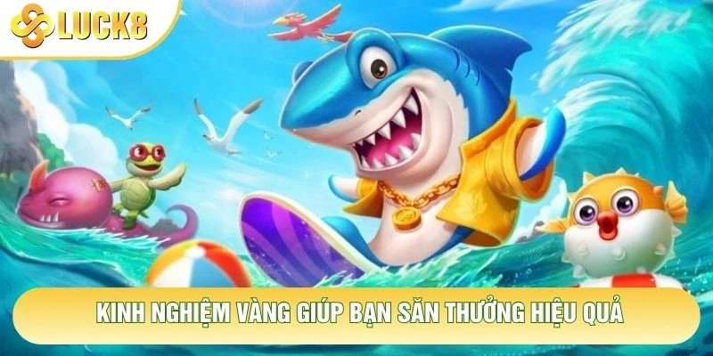 Kinh nghiệm vàng giúp bạn săn thưởng hiệu quả