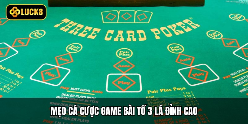 Bài Tố 3 Lá - 3 Quy Tắc Chính, 4 Mẹo Từ Cao Thủ 4 Mẹo cá cược game bài tố 3 lá đỉnh cao