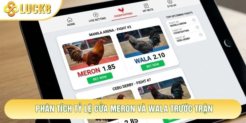 Phân tích tỷ lệ cửa Meron và Wala trước trận