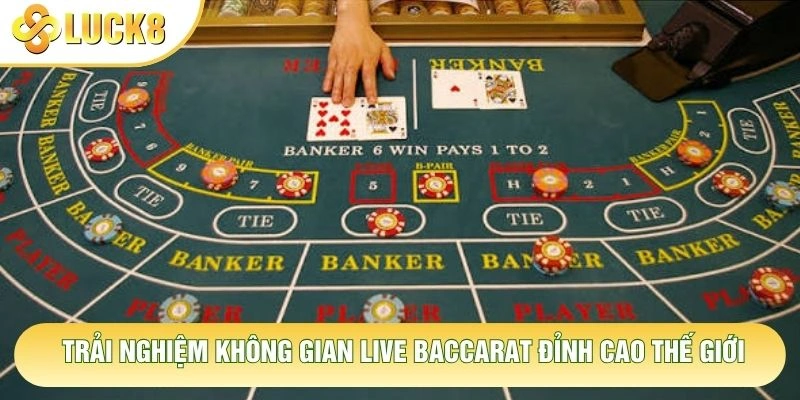 Trải nghiệm không gian live baccarat đỉnh cao thế giới