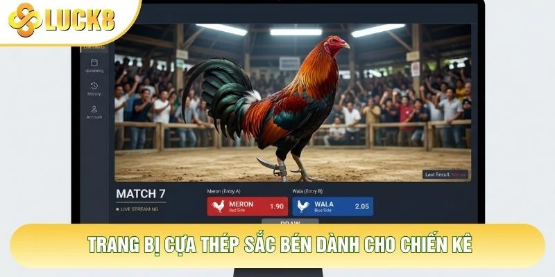 Trang bị cựa thép sắc bén dành cho chiến kê