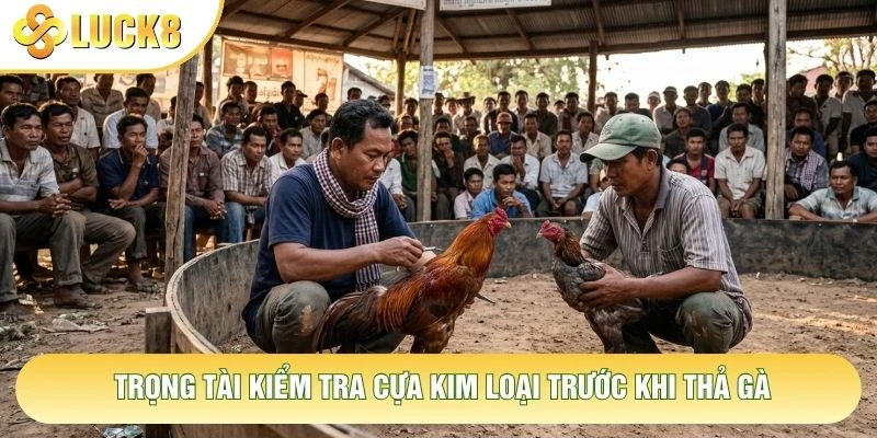 Trọng tài kiểm tra cựa kim loại trước khi thả gà