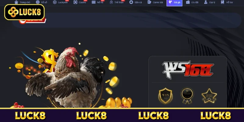 Đá Gà Luck8 - Sân Chơi Giải Trí Được Nhiều Người Yêu Thích 4 Sơ lược sảnh đá gà Luck8
