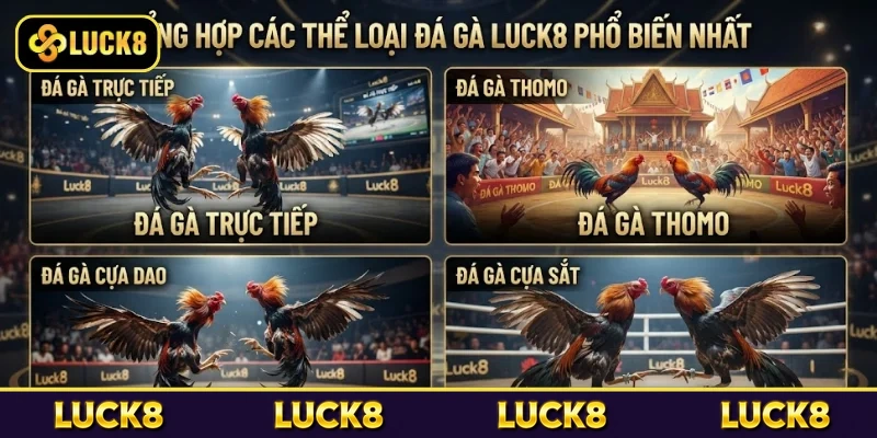 Đá Gà Luck8 - Sân Chơi Giải Trí Được Nhiều Người Yêu Thích 5 Tổng hợp các thể loại đá gà Luck8 phổ biến nhất
